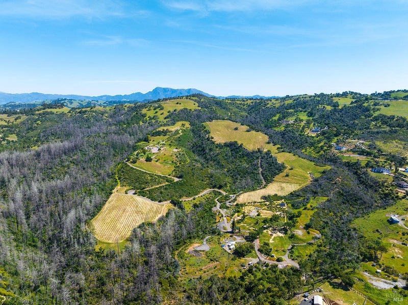 1888 Crystal Springs Court