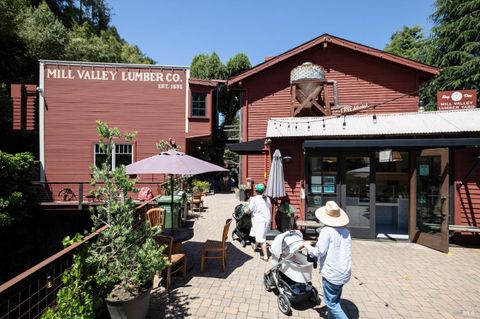 A home in Mill Valley