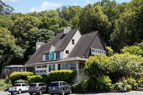 A home in Mill Valley