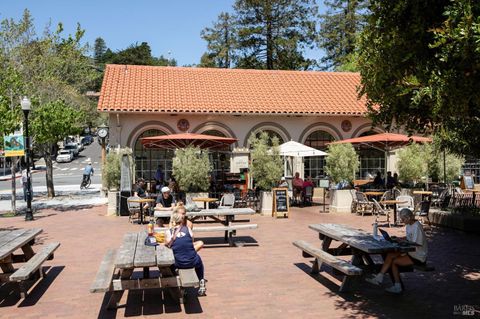 A home in Mill Valley