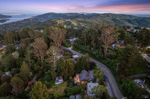 A home in Mill Valley