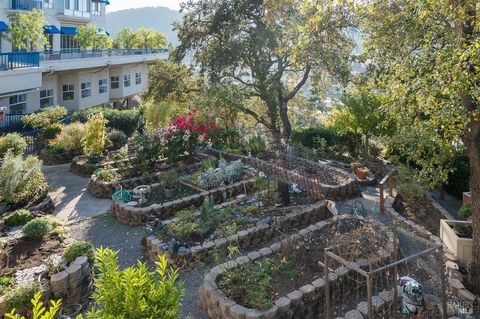 A home in San Rafael