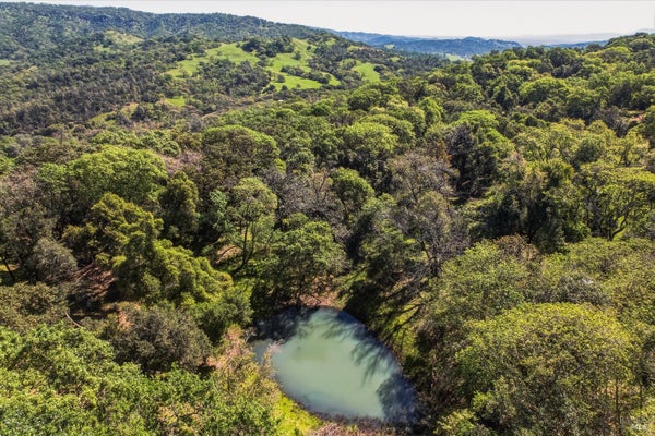 JUNIPER DR, NAPA, CA 94558 - Image 81d077e41205171d0dde69d26fb93a0f/2401178317