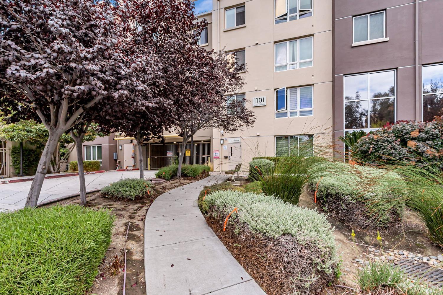 1101 S Main Street 216