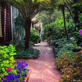 44 Macondray Lane 5W San Francisco CA 94133