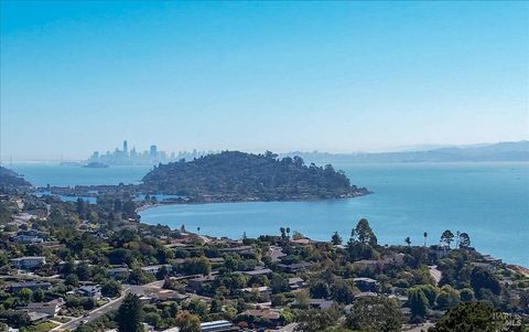 A home in Tiburon