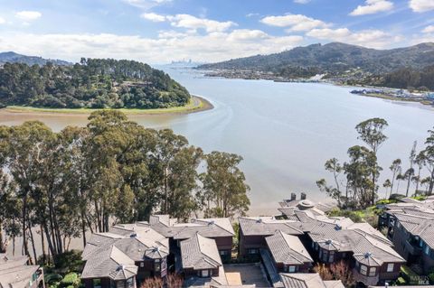 A home in Mill Valley