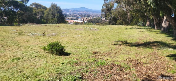 1675 HILLCREST RD, SAN PABLO, CA 94806 - Image ae59c1bb35d807ce6a37e1559d88c475/2688666244