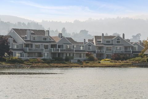 6060 Shelter Bay Avenue Mill Valley CA 94941