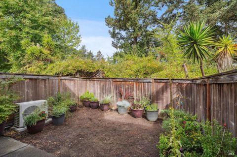 A home in Sebastopol