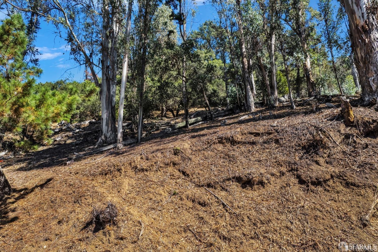 Oakland, California 94611, United States, ,Land,Active,67402