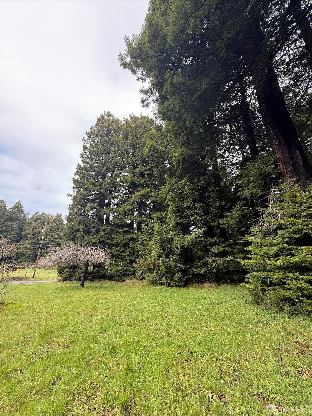 Trinidad, California 95570, United States, ,Land,Active,99520