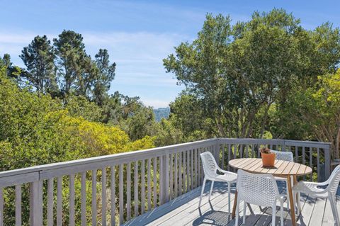 A home in Mill Valley