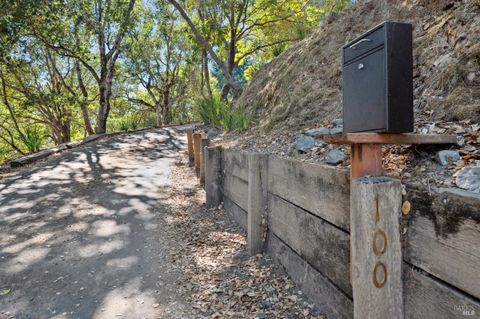 A home in Mill Valley