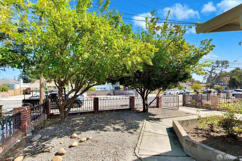 348 Redwood Avenue