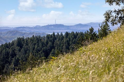 A home in Mill Valley