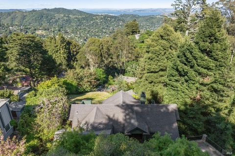 A home in Mill Valley