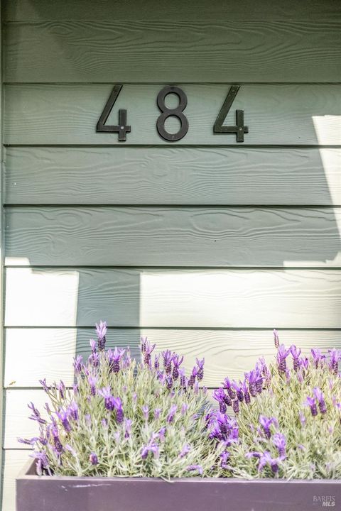 A home in Mill Valley