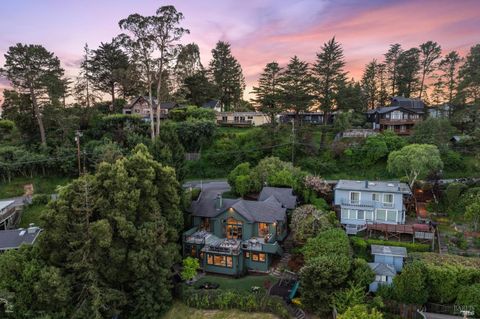 A home in Mill Valley