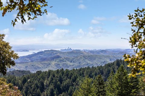 A home in Mill Valley