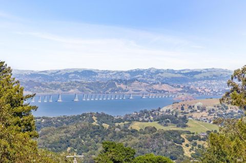 A home in Mill Valley