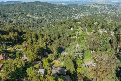 A home in Mill Valley