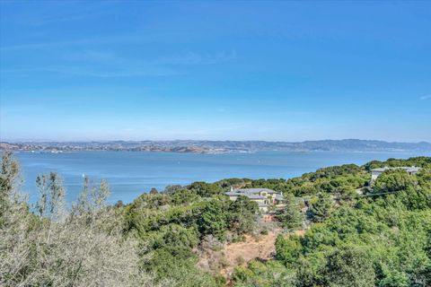 A home in Tiburon