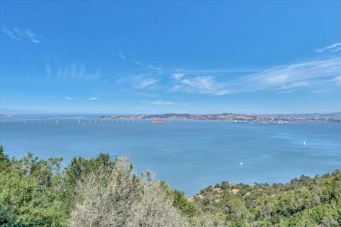 A home in Tiburon