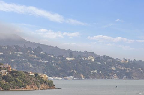 A home in Mill Valley