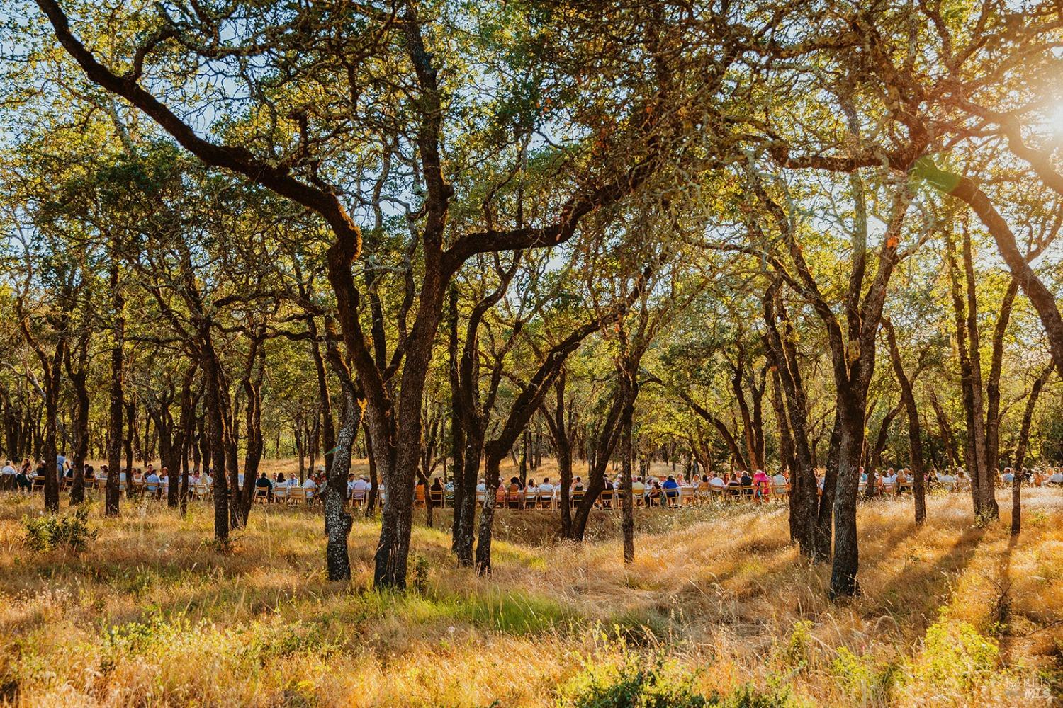 13414 Chalk Hill Road