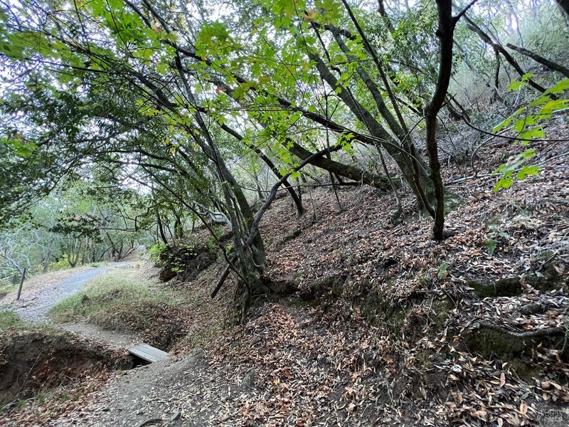 0 Cypress Drive