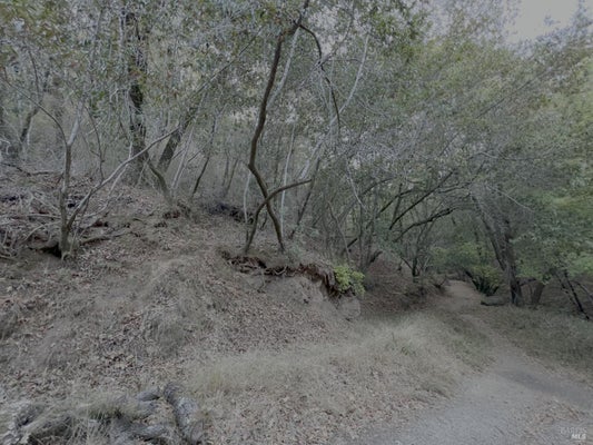 0 CYPRESS DRIVE, FAIRFAX, CA 94930 - Image ed476035fe87eb0ac53689829f776c4a/464836116