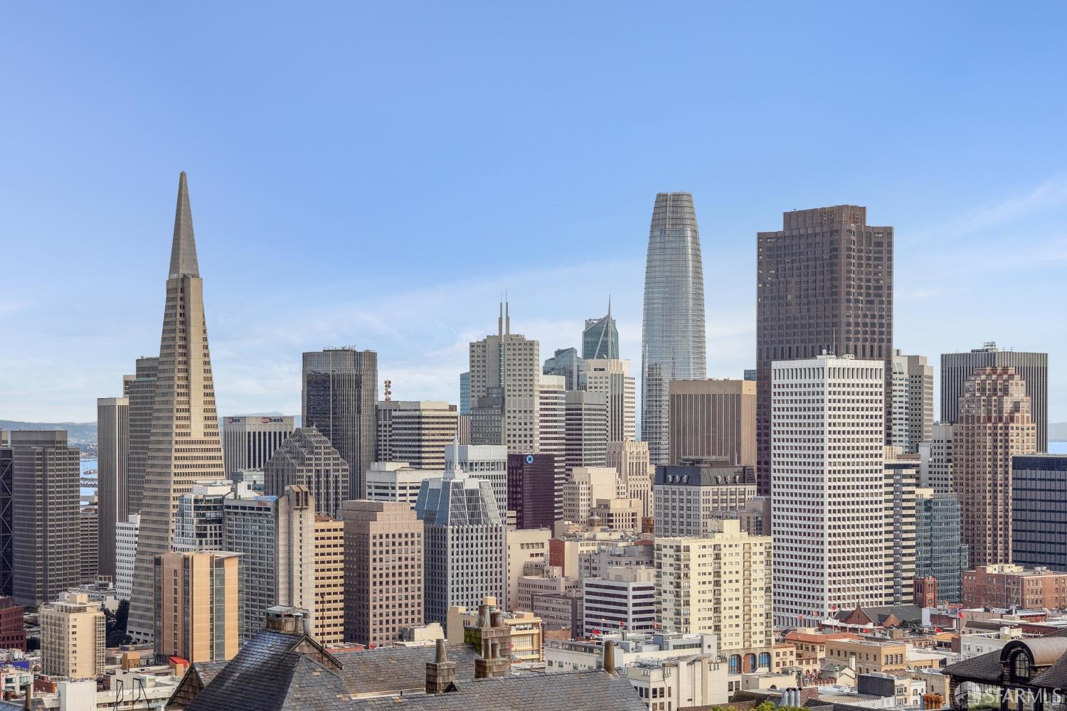 999 Green Street 1702