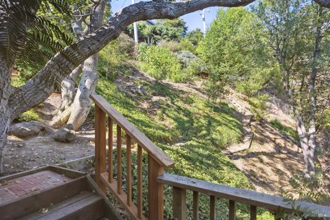 A home in Mill Valley