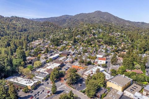 A home in Mill Valley