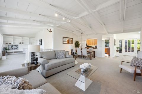 A home in Mill Valley