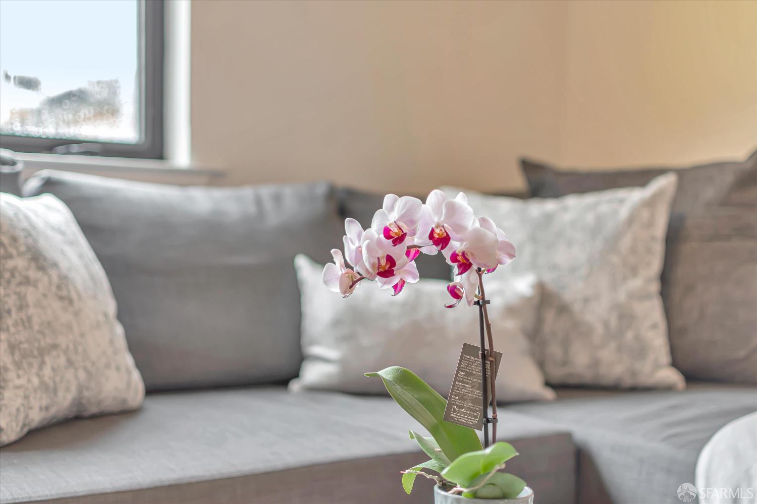 226 27th Street 10