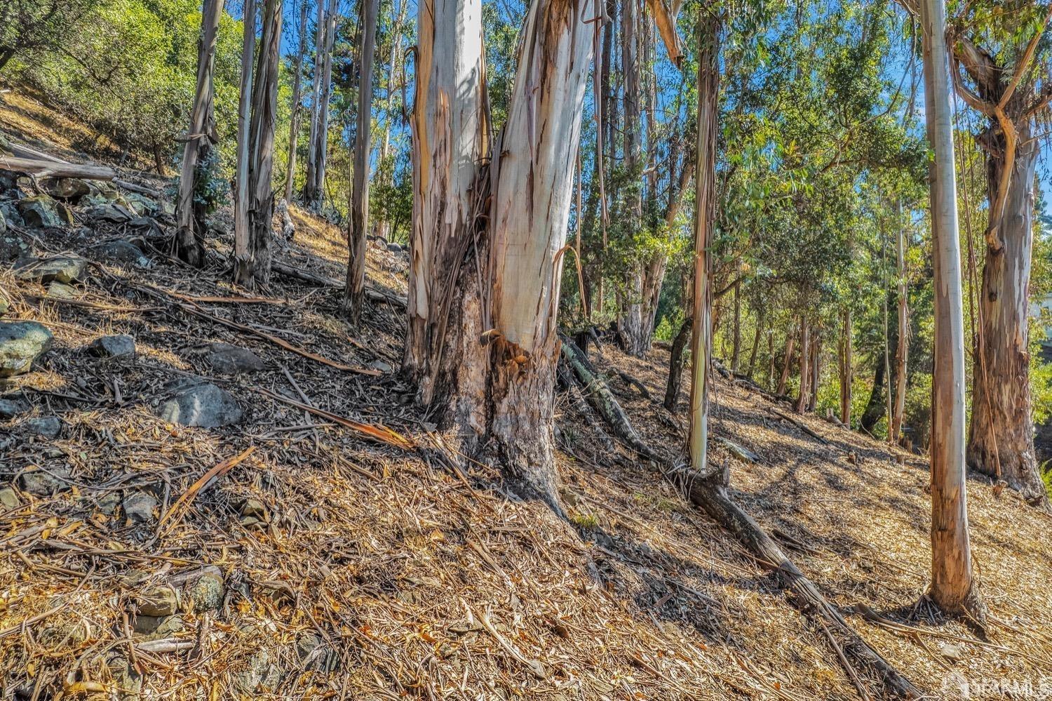 Oakland, California 94611, United States, ,Land,Active,104054