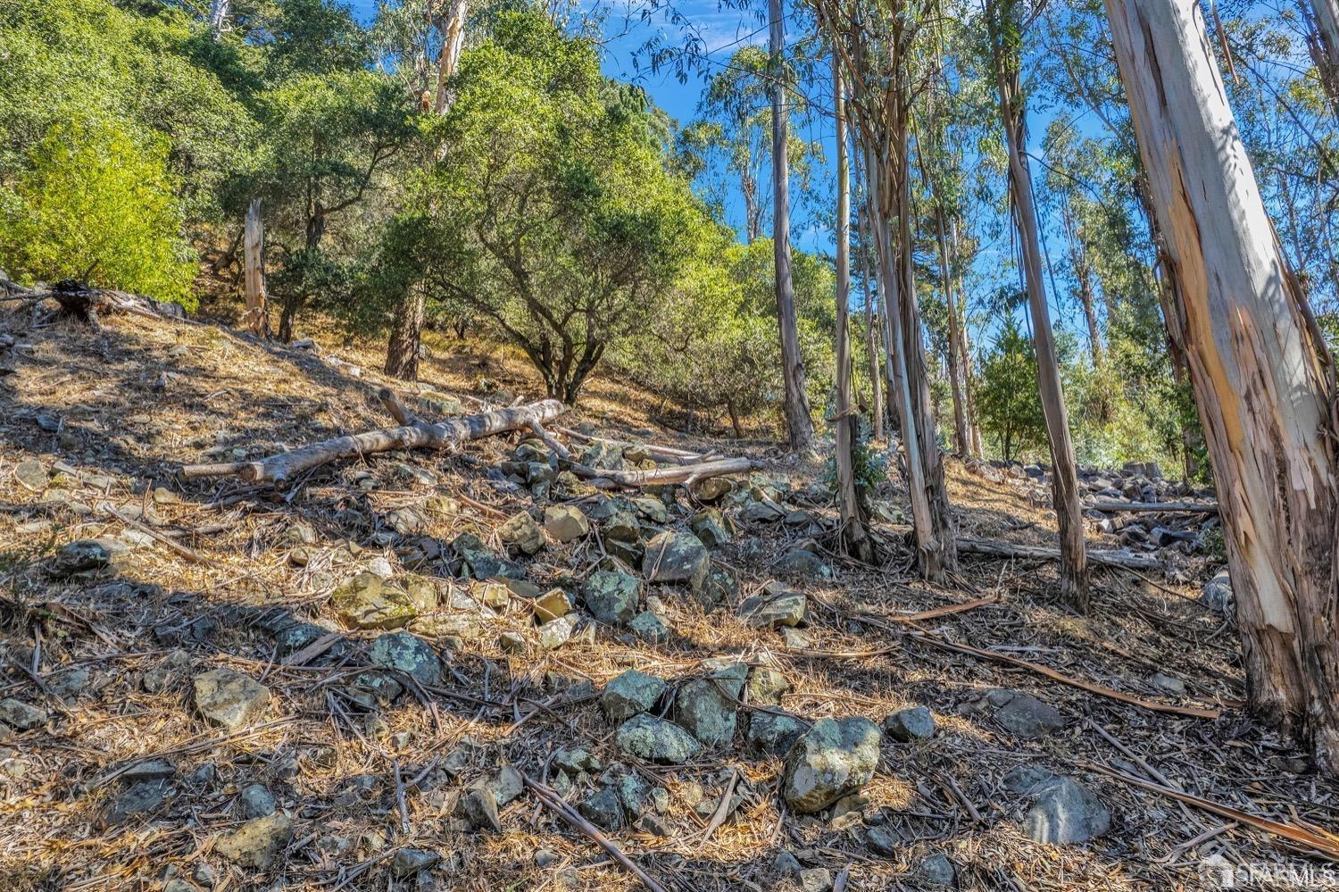 Oakland, California 94611, United States, ,Land,Active,104054