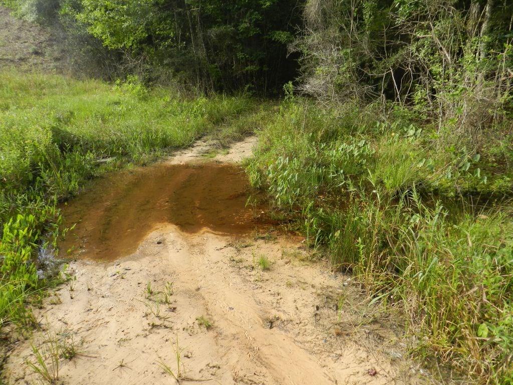 Photo 10 of 13 of 00000 ISABEL SWAMP Road land