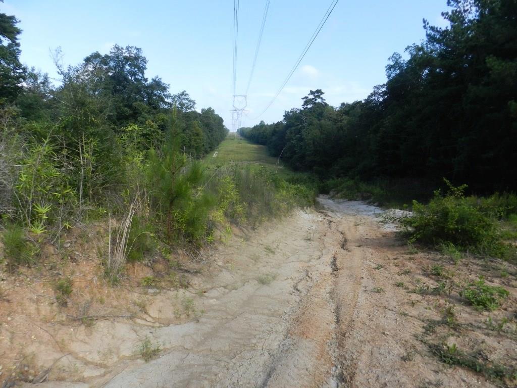 Photo 9 of 13 of 00000 ISABEL SWAMP Road land