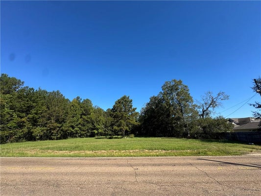 16195 E MINNESOTA PARK RD, HAMMOND, LA 70403 - Image 015eba6e3b9dcf33cb50cb6cf8fcd236/1357680641