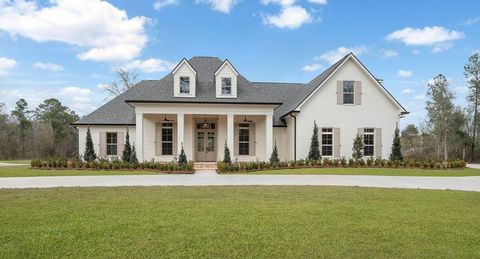 72805 PLUMEGRASS Drive Covington LA 70433