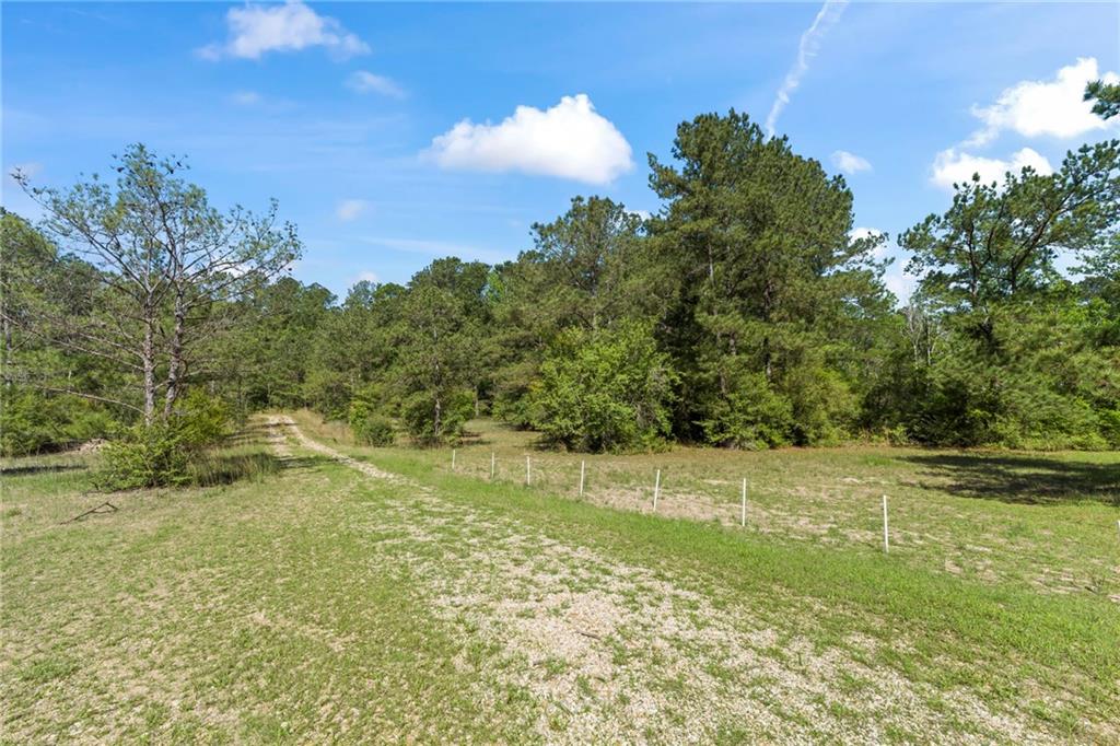 28481 HIGHWAY 25