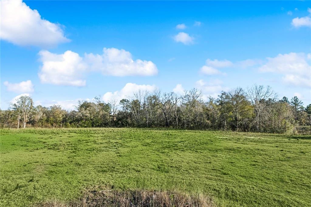 12572 GOLDENTOP Drive