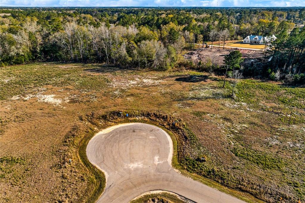 12572 GOLDENTOP Drive