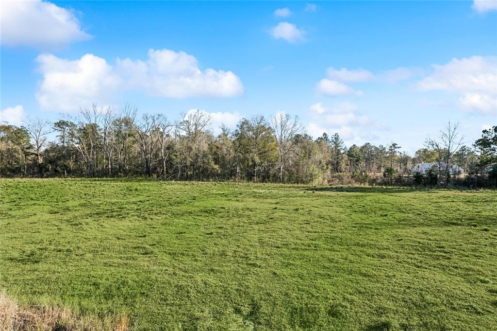 12572 GOLDENTOP Drive