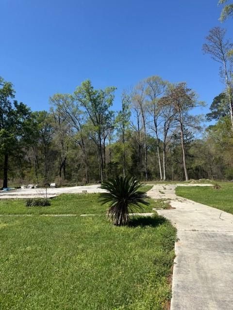 20263 HOLLIE Lane Ponchatoula LA 70454