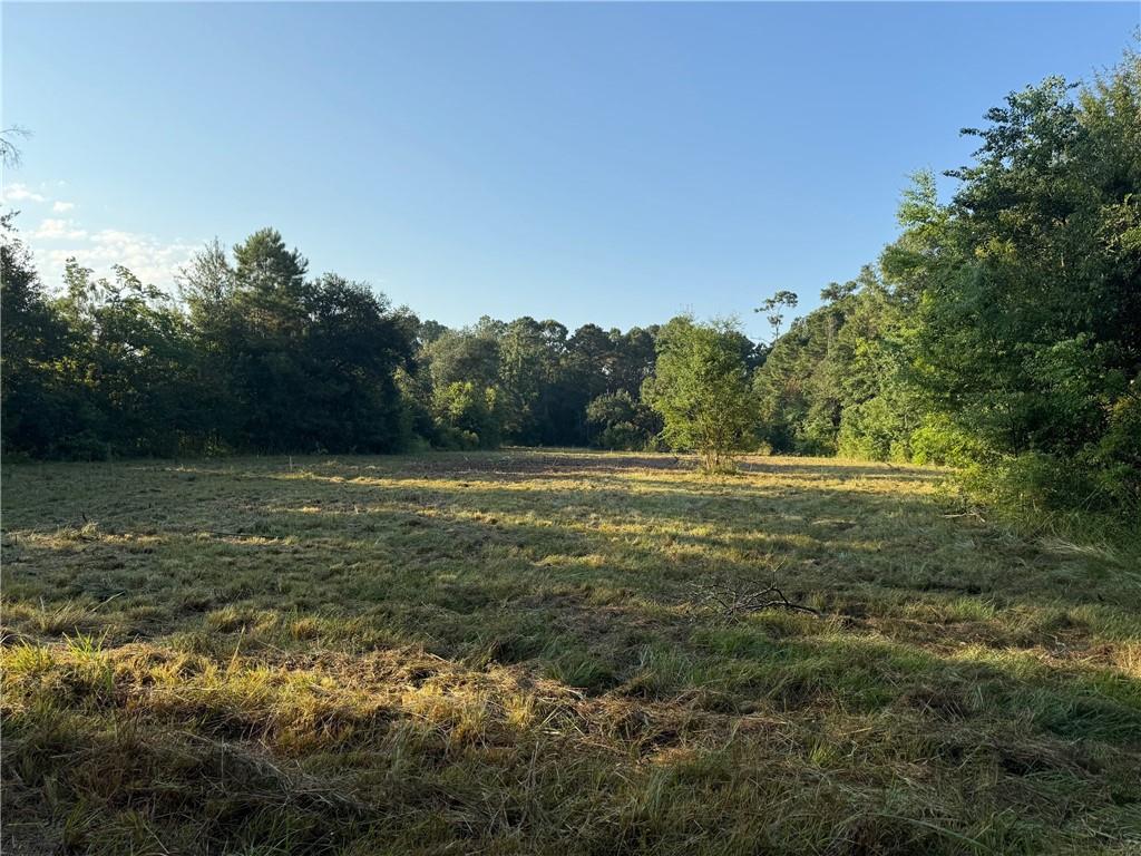 39277 E HWY. 190 Highway