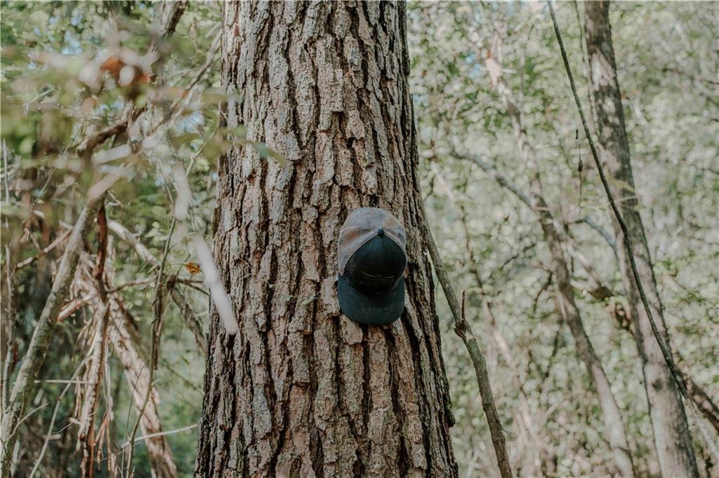 HWY. 1083 (BEN WILLIAMS RD.) Highway